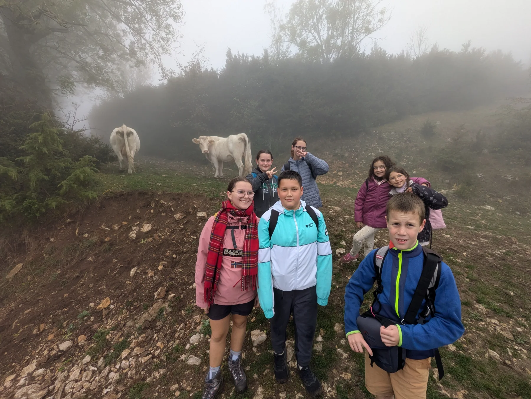 Illustration de Du brouillard, de la pluie, des vaches… et de la joie !