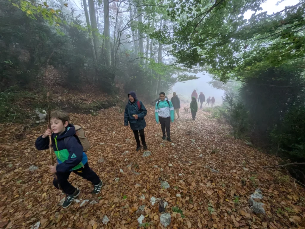Illustration de Du brouillard, de la pluie, des vaches… et de la joie !