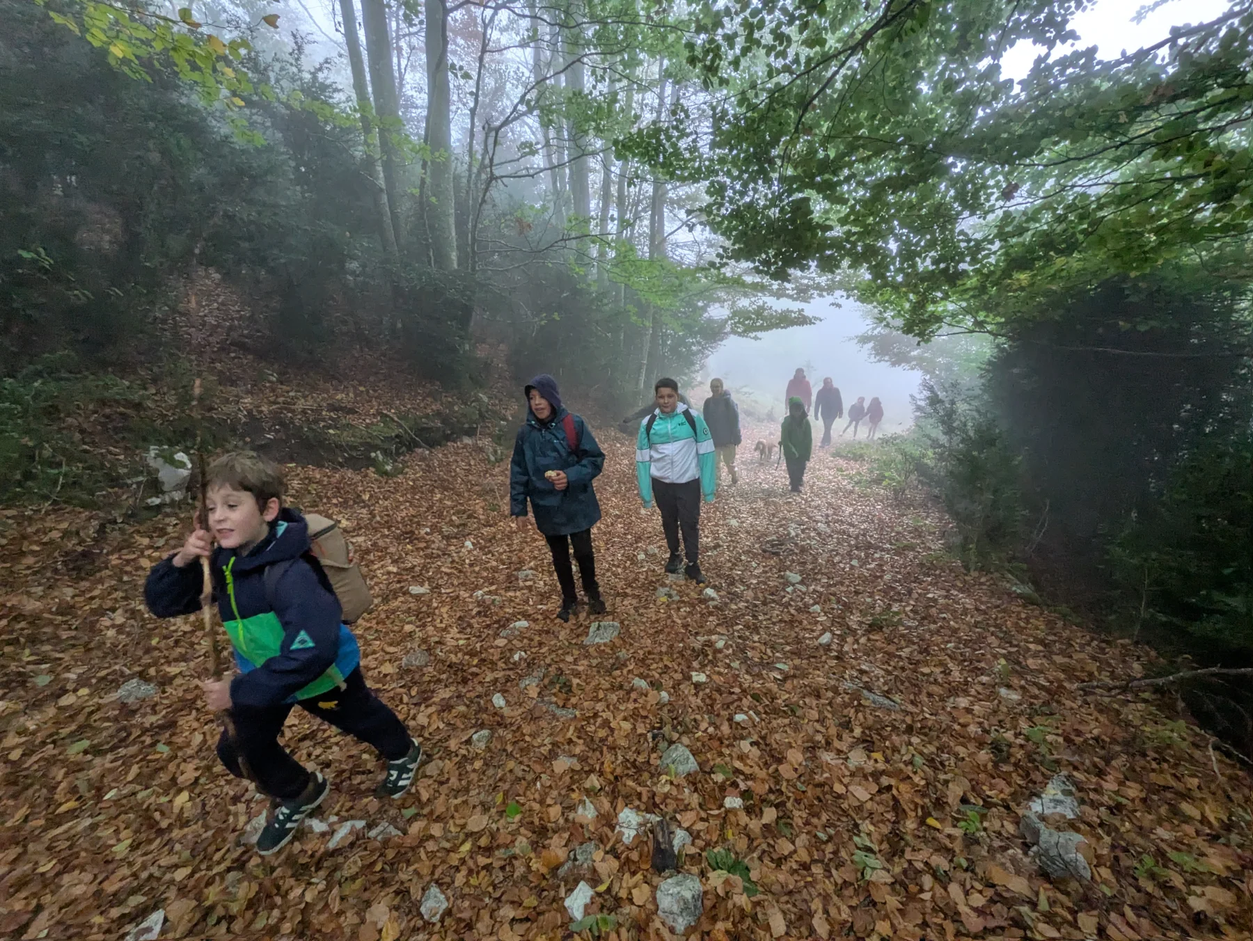 Illustration de Du brouillard, de la pluie, des vaches… et de la joie !